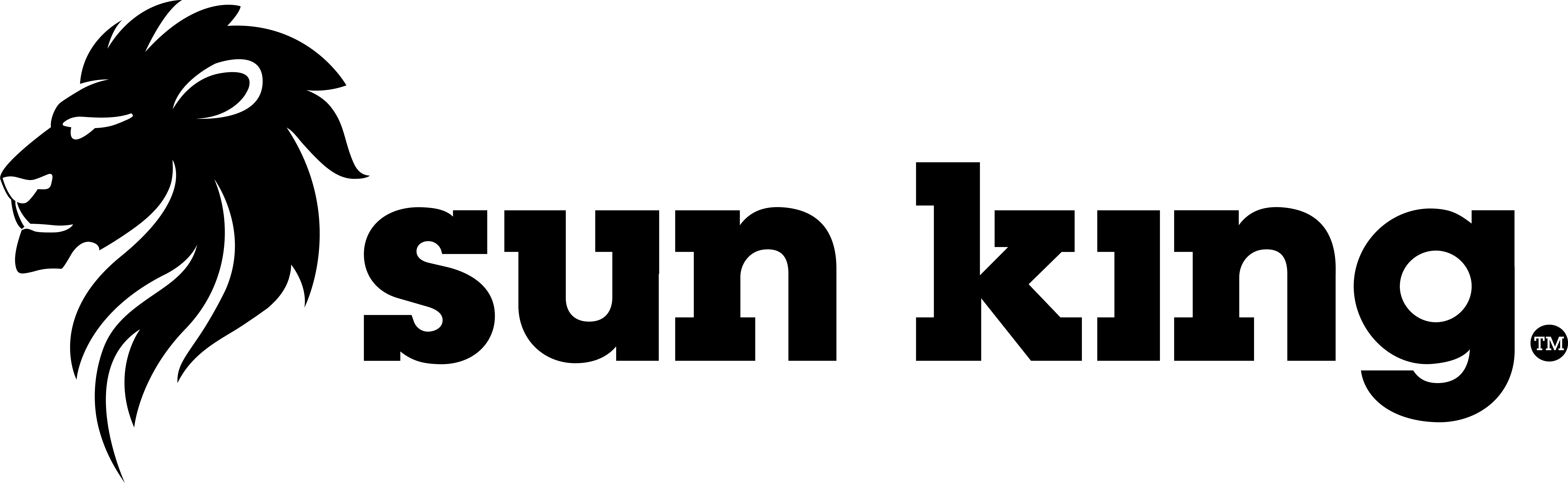 Sun King Fraud Detection Logo